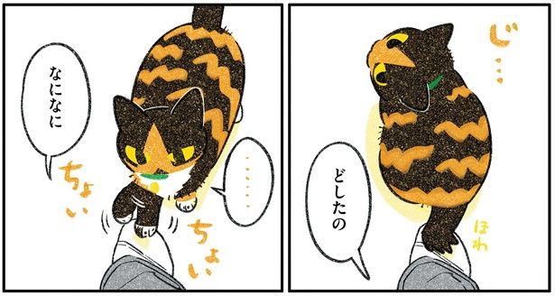 どしたの （C）ふじひと／KADOKAWA