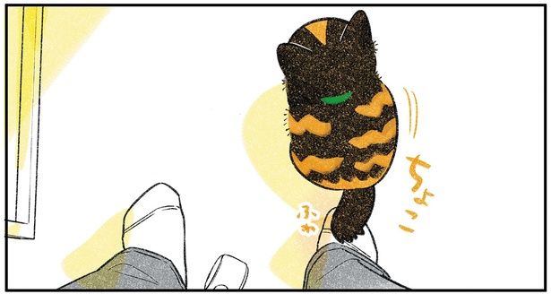 ちょこ （C）ふじひと／KADOKAWA