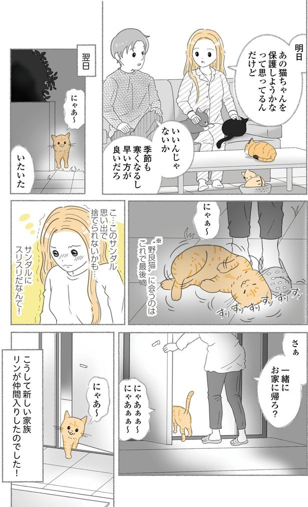 一緒にお家に帰ろ？ （C）ゆきよみ、にゃんかつ／KADOKAWA