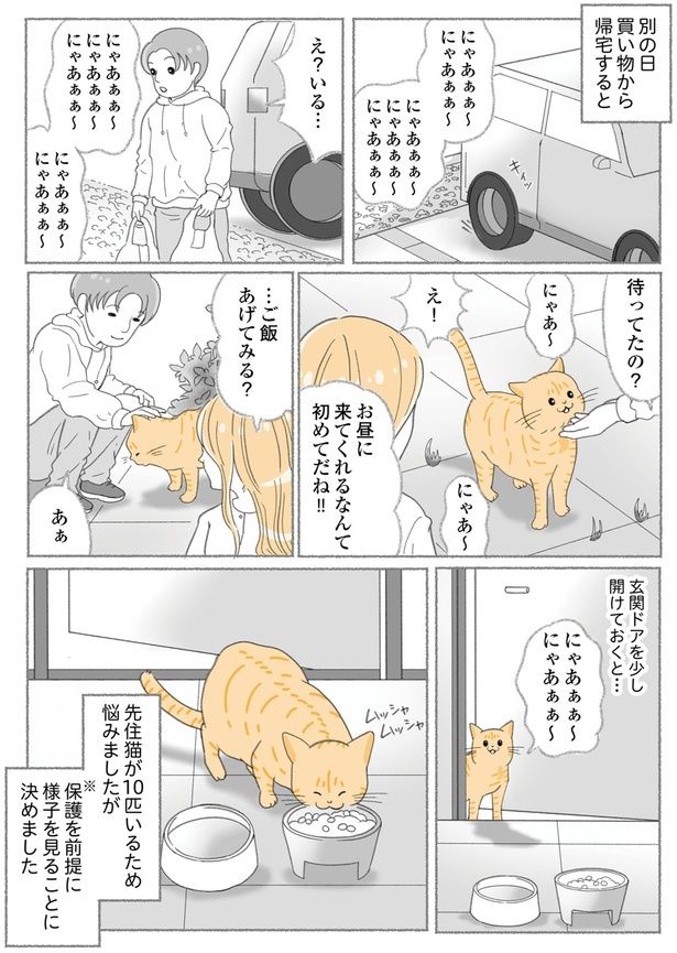 待ってたの？ （C）ゆきよみ、にゃんかつ／KADOKAWA