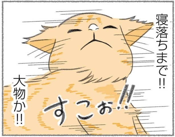 大物か！！ （C）ゆきよみ、にゃんかつ／KADOKAWA