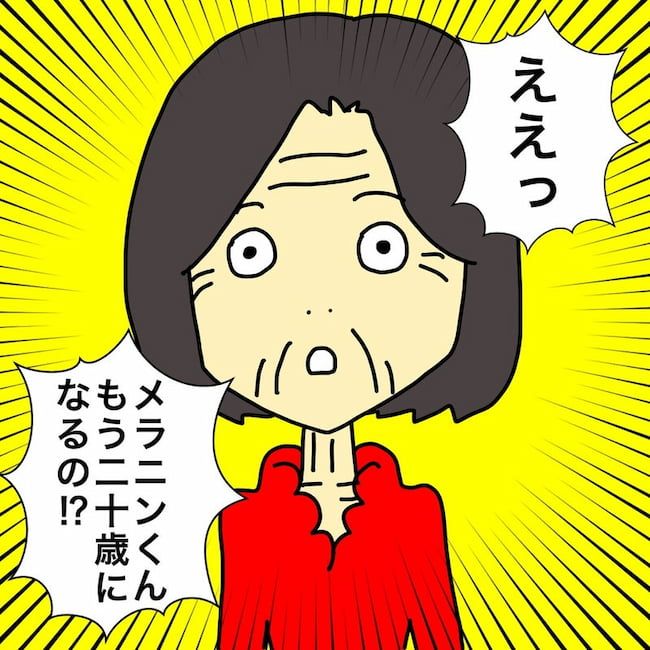 母の認知症介護日記／ワフウフ