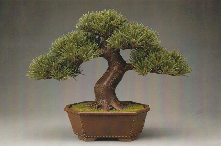 クリエイティブ部門 優秀賞