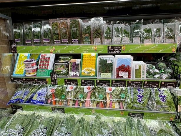 青果部門には旬野菜から食用花・ハーブ類まで幅広くラインナップ