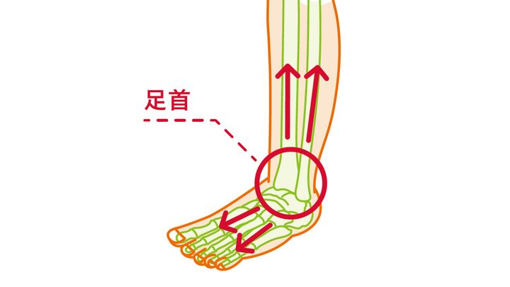 足の不調のカギは、小指にあった!? 寝指が目覚める、ほぐしストレッチ