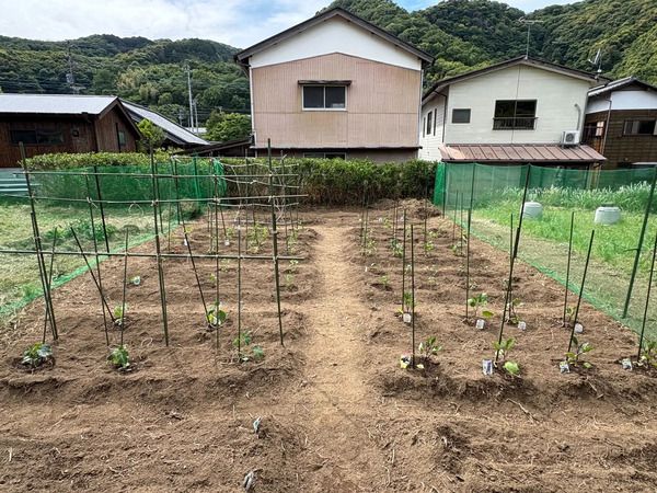 【静岡県伊豆市】築100年以上の古民家を活用した、植木カットデザイナー育成研修施設開設！