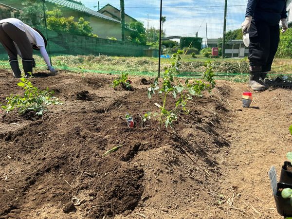 【静岡県伊豆市】築100年以上の古民家を活用した、植木カットデザイナー育成研修施設開設！
