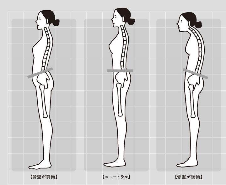 美脚作りに骨盤が大切な理由