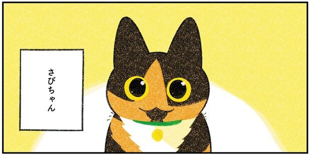 さびちゃん （C）ふじひと／KADOKAWA