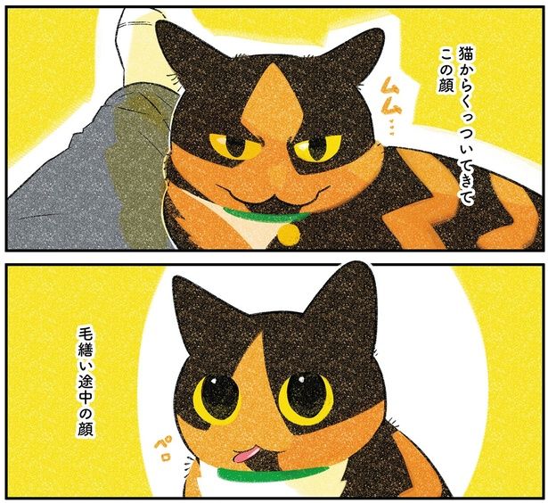 毛繕い途中の顔 （C）ふじひと／KADOKAWA