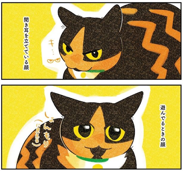 遊んでる時の顔 （C）ふじひと／KADOKAWA