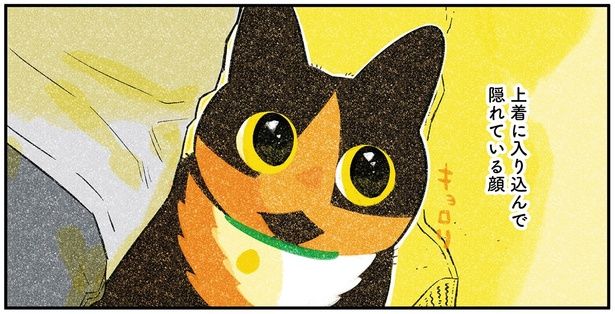 隠れている顔 （C）ふじひと／KADOKAWA