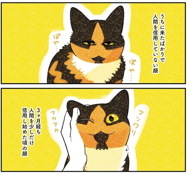 信用し始めた頃の顔 （C）ふじひと／KADOKAWA