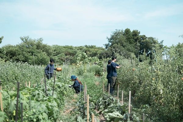 【富山県富山市】神通峡のホテル「リバーリトリート雅樂倶」が環境配慮の取り組みをWebサイトで公開