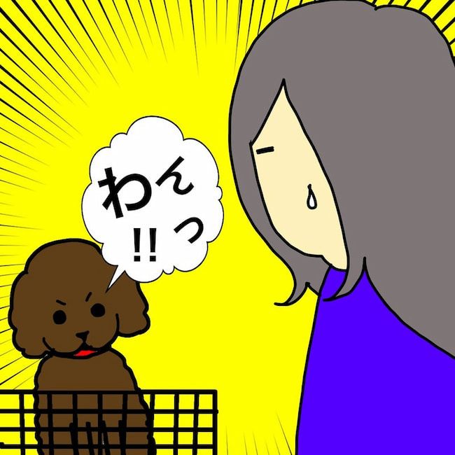 母の認知症介護日記／ワフウフ