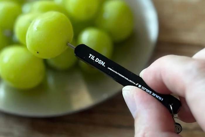 TIL DSN Multi Functional Toothpick