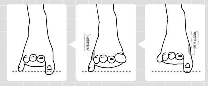 美脚作りに足裏が大切な理由