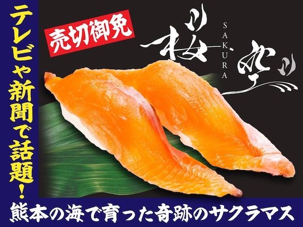 【熊本県】サクラマス新ブランドの桜空-SAKURA-が海鮮特急レーン 寿司じじや熊本県内店舗に登場