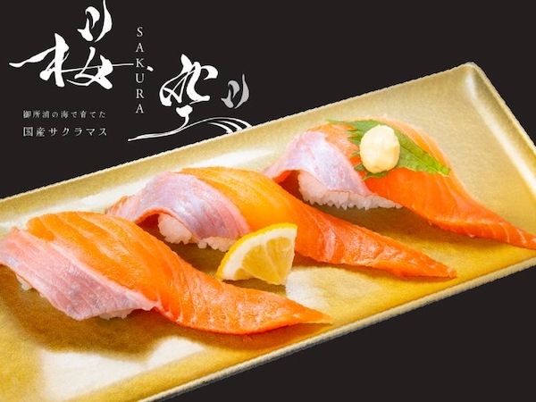 【熊本県】サクラマス新ブランドの桜空-SAKURA-が海鮮特急レーン 寿司じじや熊本県内店舗に登場