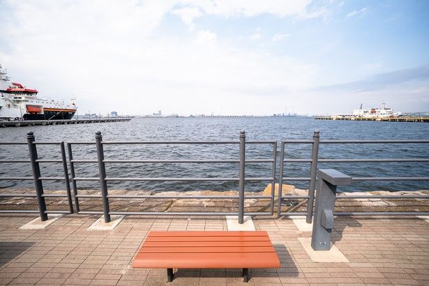 海辺のベンチで、東京湾を眺めながら味わうのもおすすめ