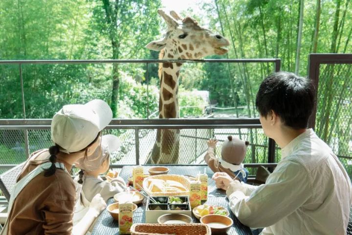 撮影場所：サユリワールド園内「キリンテラス」