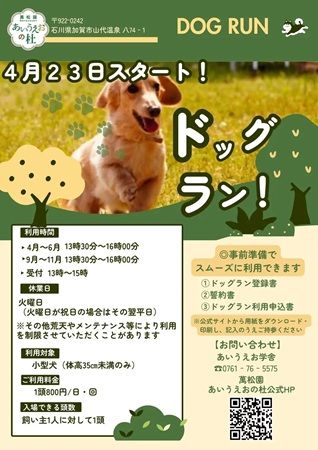 【石川県加賀市】カフェや休憩所、コテージなどもある「萬松園 あいうえおの杜」にドッグランが登場