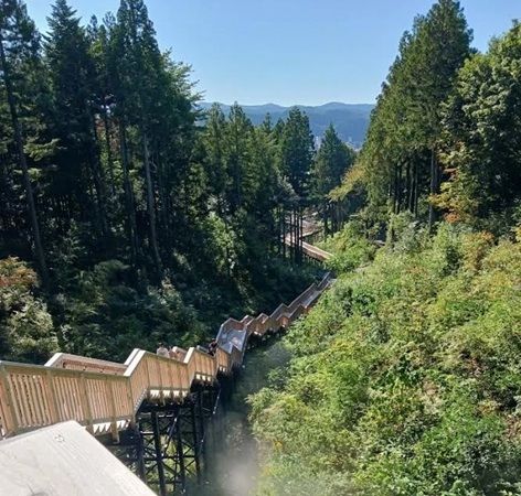 【石川県加賀市】カフェや休憩所、コテージなどもある「萬松園 あいうえおの杜」にドッグランが登場