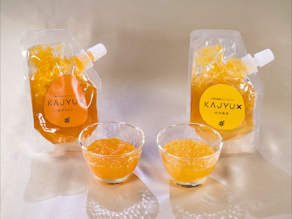 濃厚柑橘ジュレ×しっとり食感カステラ。鹿児島・江﨑果樹園が新感覚スイーツを発売