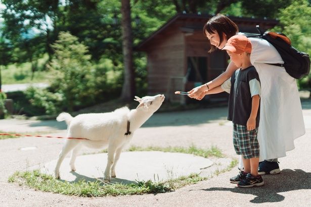 ヤギやウサギ、モルモットとの触れ合いや乗馬体験が子どもたちに大人気