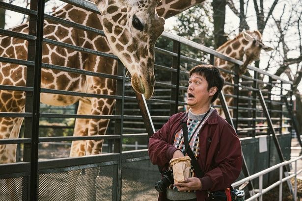 【写真を見る】キリンに餌をｱあげる丸山隆平の無邪気な一幕を切り取ったオフショット [c]佐藤二朗 永田諒 ／ ヒーローズ [c]2026 映画「名無し」製作委員会