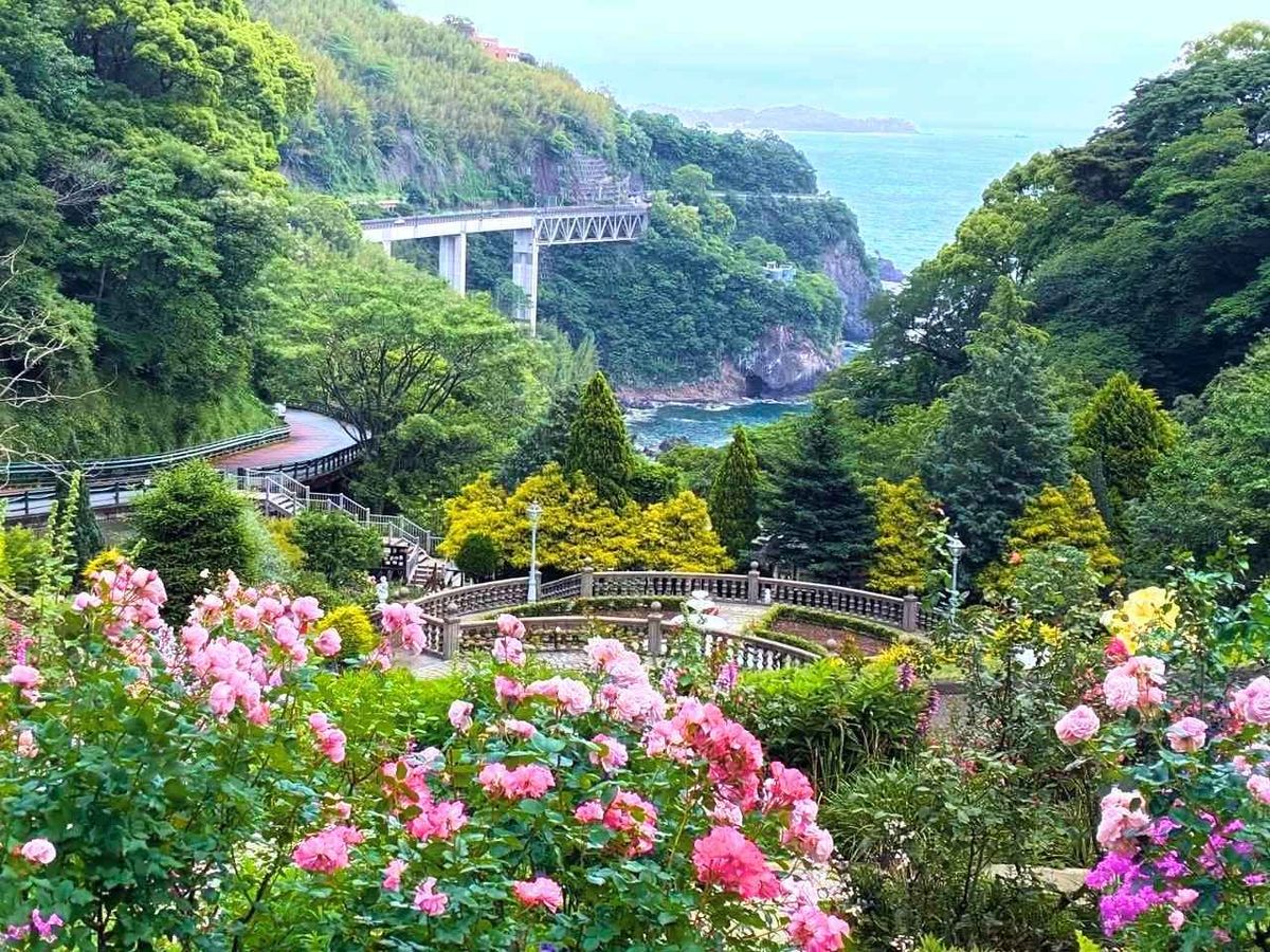 垣間見る自然/Glimpse of Nature CHK日本語foil 天空の花園が見頃】無料バスで青い海と約600種のバラが彩る絶景へ