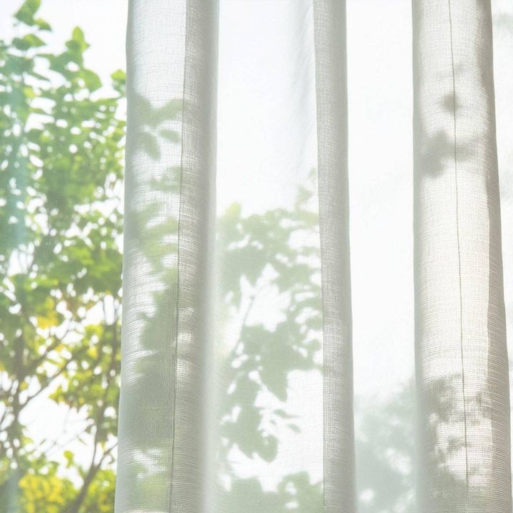 窓 家庭運 上がる
