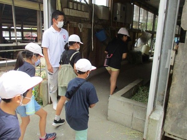 【千葉県旭市】東日本産直ビーフ研究会の牛農家が旭市立滝郷小で食育授業「牛のエサやり体験」を実施