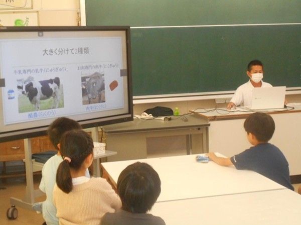 【千葉県旭市】東日本産直ビーフ研究会の牛農家が旭市立滝郷小で食育授業「牛のエサやり体験」を実施