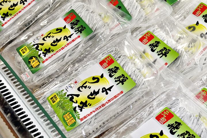 【飛騨高山ツーリング】滝・絶品グルメ・快走路を網羅！「ぶり街道」から行く極上の大自然ルート