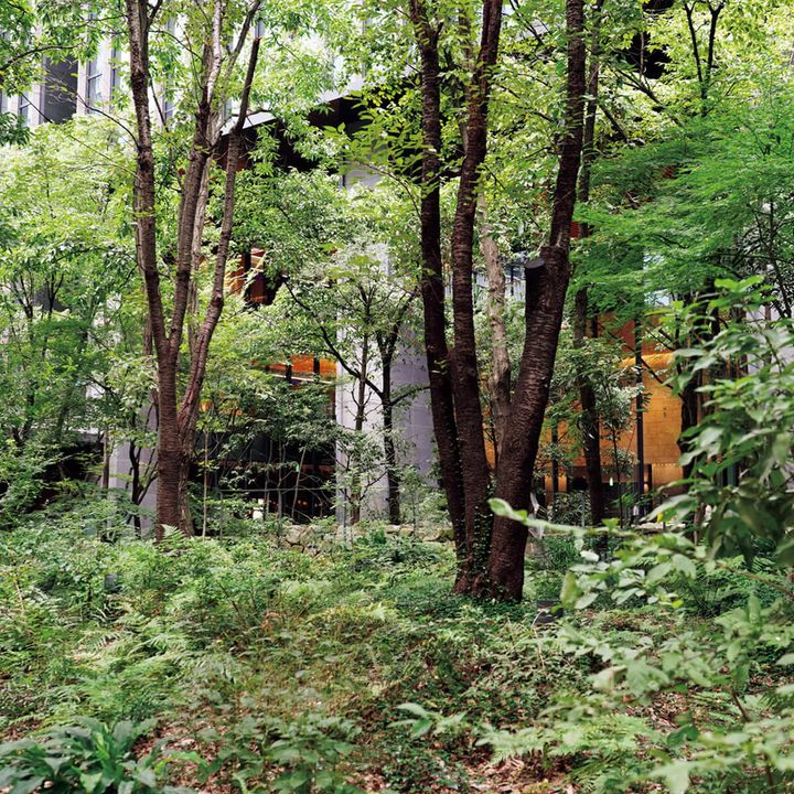 大手町〈大手町の森〉外観