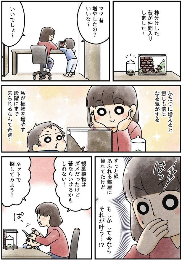 ママ苔増やしたの？ （C）タソ,石河英作／KADOKAWA