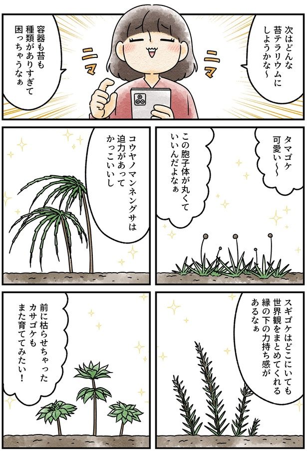 次はどんな苔テラリウムにしようかな～ （C）タソ,石河英作／KADOKAWA