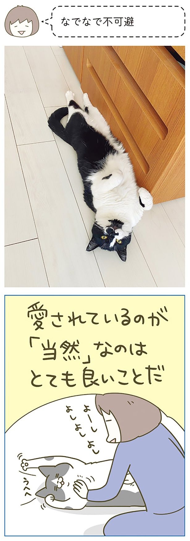 なでなで不可避です！ （C）卵山玉子／KADOKAWA