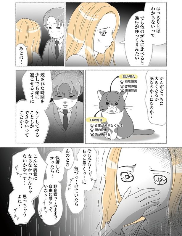 進行がゆっくりみたい （C）ゆきよみ、にゃんかつ／KADOKAWA