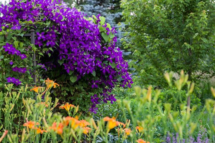 花を並べてもまとまらない…を解決！「高低差」で庭・ベランダを立体的に見せる5つのコツ