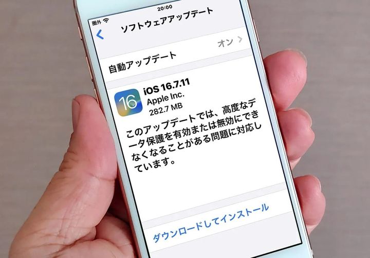 本当の寿命