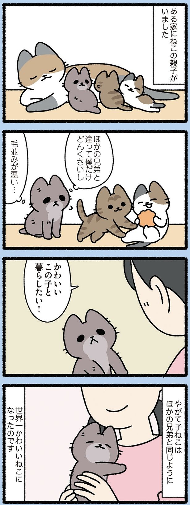 ほかの兄弟と同じように （C）ぱんだにあ／KADOKAWA