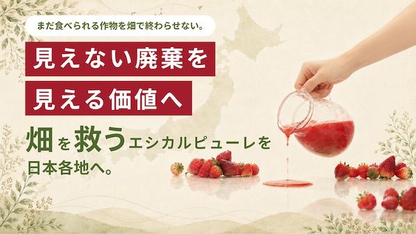 規格外・余剰の農作物をピューレに加工する取り組み「Purélution」のクラファン実施