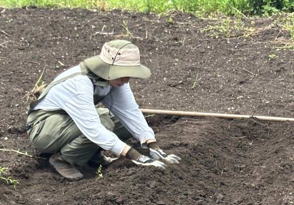 規格外・余剰の農作物をピューレに加工する取り組み「Purélution」のクラファン実施
