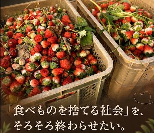 規格外・余剰の農作物をピューレに加工する取り組み「Purélution」のクラファン実施
