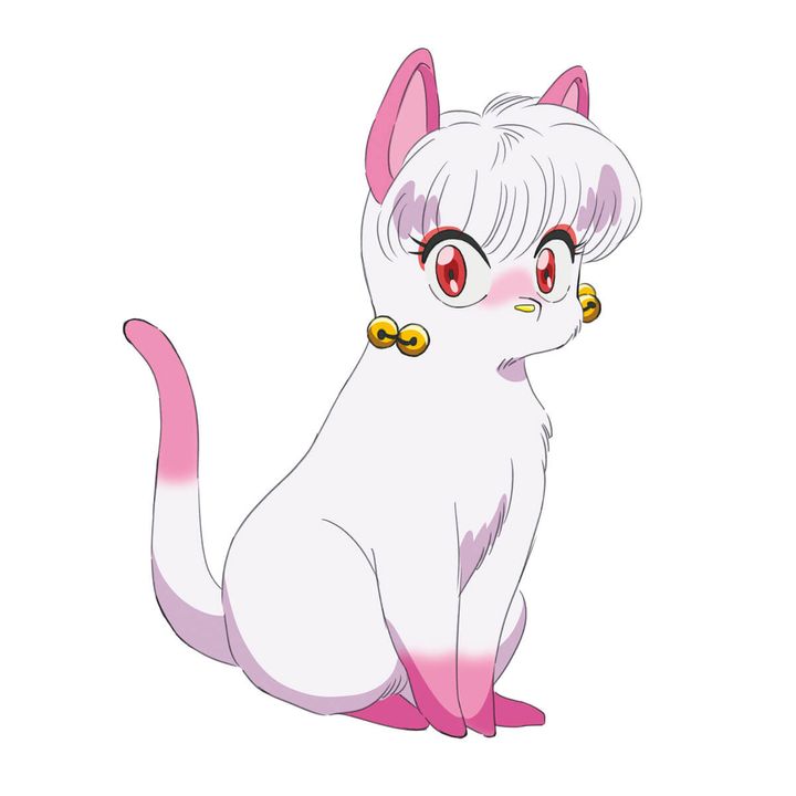 シャンプー