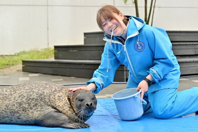 推しごとマリンワールド川名さん