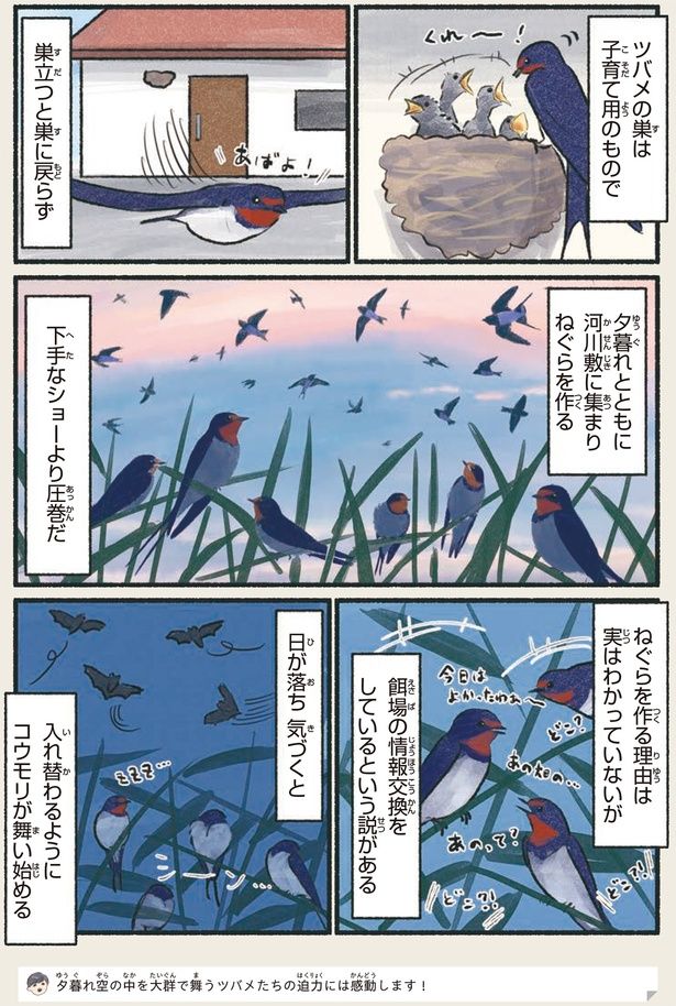 下手なショーより圧巻だ （C）piro piro piccolo／KADOKAWA