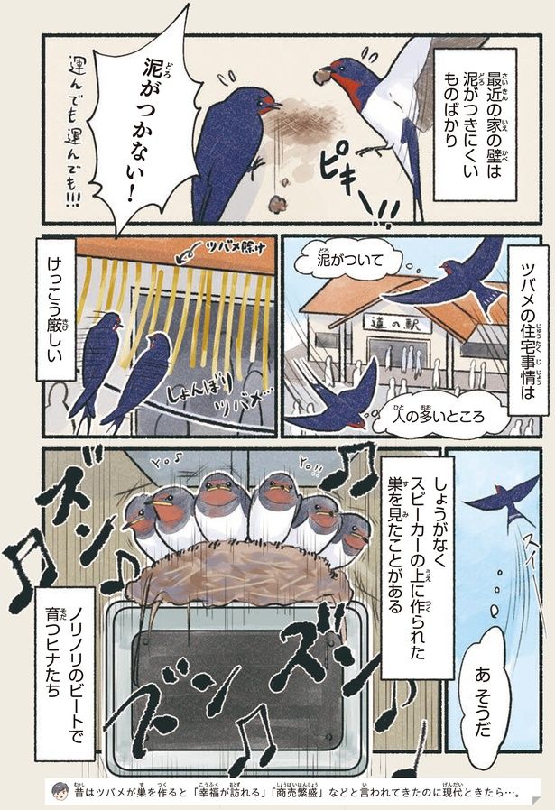 泥がついて 人の多いところ （C）piro piro piccolo／KADOKAWA